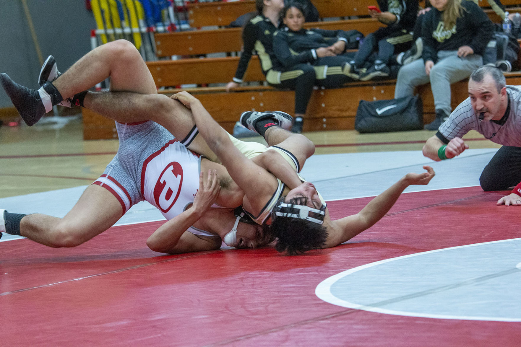 Tigers wrestling